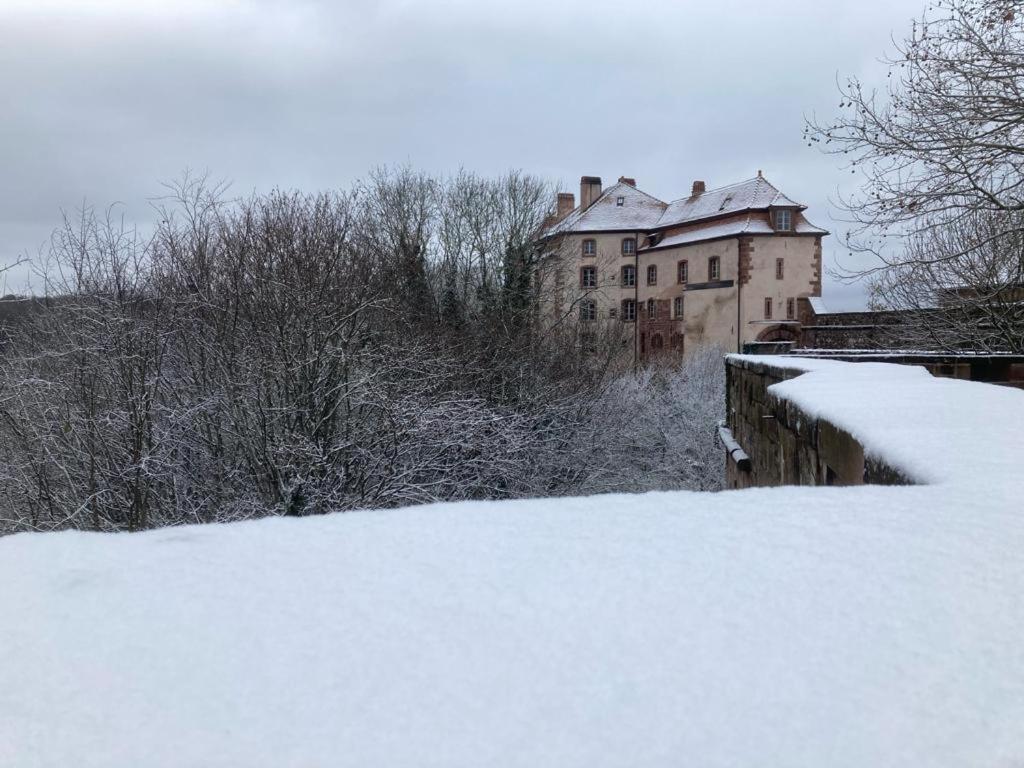 Villa Le Cordonnier Du Staedel La Petite-Pierre Exterior foto